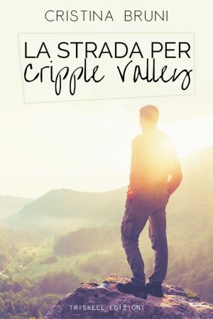 Cover of the book La strada per Cripple Valley by Cate Ashwood