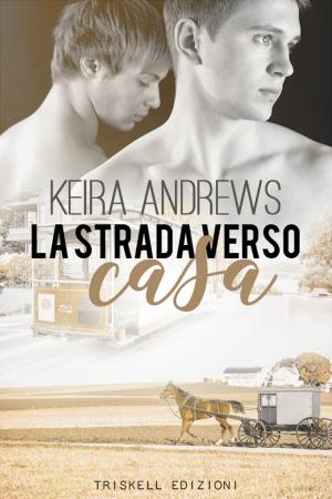 Cover of the book La strada verso casa by Ethan Day