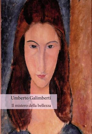 Cover of Il mistero della bellezza