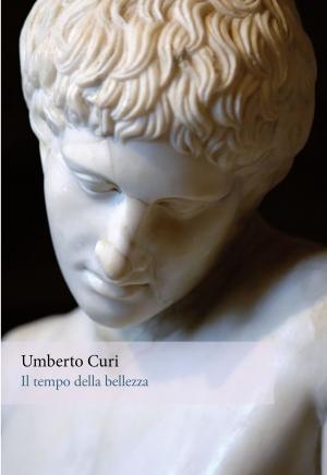 Cover of the book Il tempo della bellezza by Bernard Stiegler