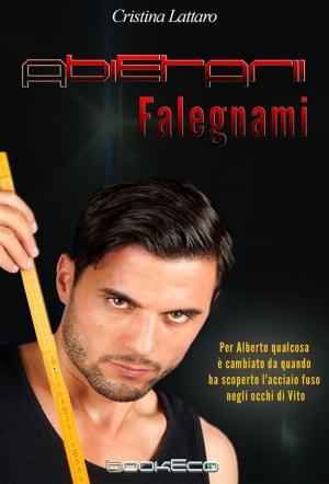 Book cover of Abietarii- Falegnami