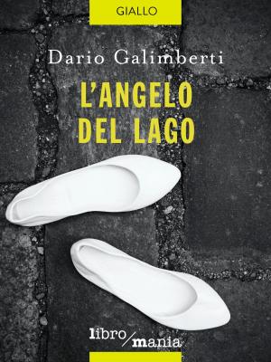 Book cover of L'angelo del lago