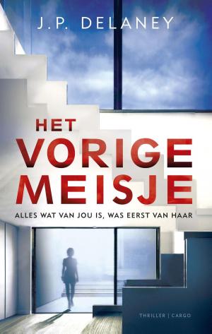 Cover of the book Het vorige meisje by Marten Toonder