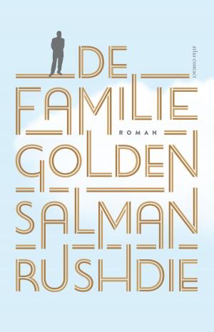 Cover of the book De familie Golden by Dimitri Verhulst