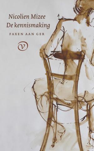 Cover of the book De kennismaking by Sebastian Burnaz