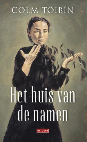Cover of the book Het huis van de namen by Mildred Zijlstra