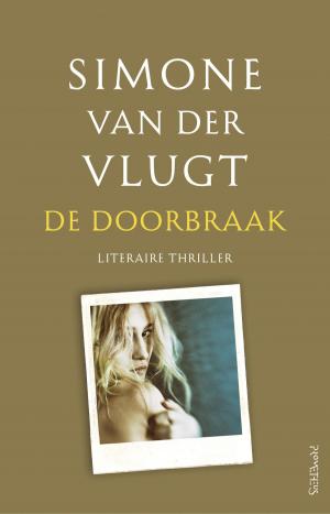 Cover of the book De doorbraak by Cecelia Ahern