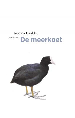 Cover of the book Meerkoet by Lieve Joris