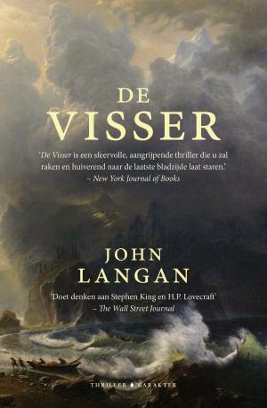 Cover of the book De Visser by Douglas Jackson