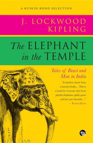 Book cover of The Elephant in the Temple