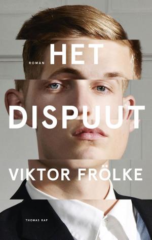 Cover of the book Het dispuut by Silvia Avallone