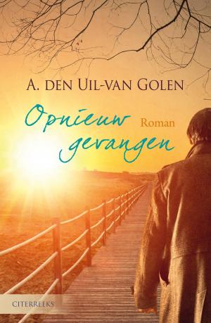 Cover of the book Opnieuw gevangen by Julia Burgers-Drost