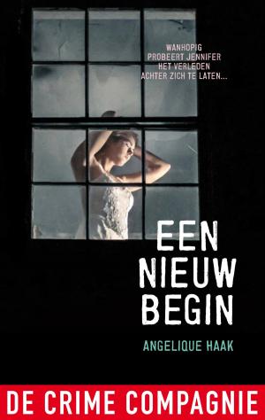 Cover of the book Een nieuw begin by Anne Nicolai