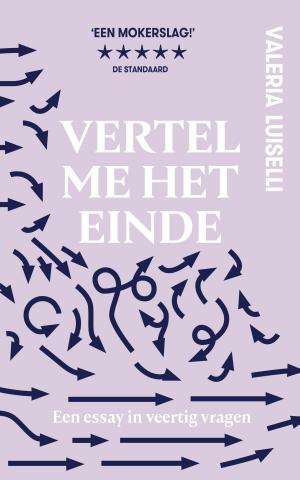Cover of the book Vertel me het einde by Joost de Vries