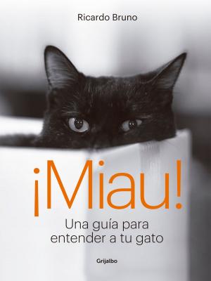 Cover of the book ¡Miau! by Sebastián Campanario, Sebastián Campanario
