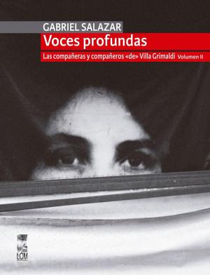 Cover of the book Voces profundas by Julio Pinto Vallejos