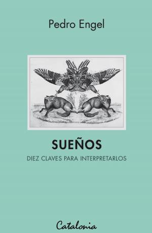 Cover of the book Sueños by Pedro Cayuqueo
