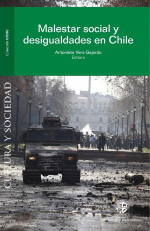 Cover of the book Malestar social y desigualdades en Chile by Sanjuana Martínez