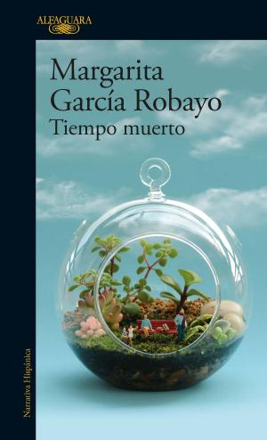 Cover of the book Tiempo muerto by Annie Rehbein De Acevedo