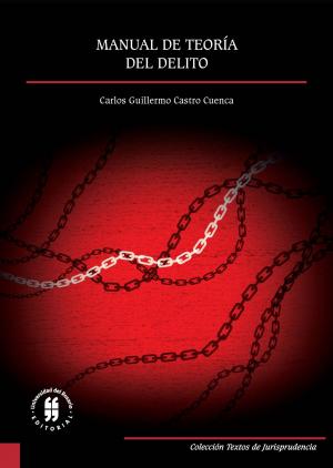 Cover of the book Manual de teoría del delito by Juan Carlos Chaparro Rodríguez