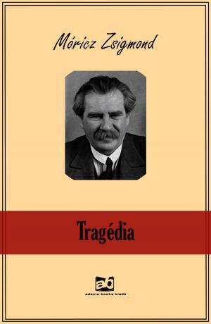 Cover of the book Tragédia by Karl May