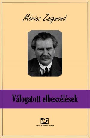Cover of the book Válogatott ​elbeszélések by Nemere István
