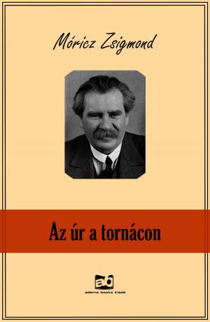 Cover of the book Az ​úr a tornácon by Gárdonyi Géza
