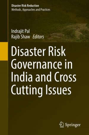 Cover of the book Disaster Risk Governance in India and Cross Cutting Issues by Yasheng Zhang, Yanli Xu, Haijun Zhou