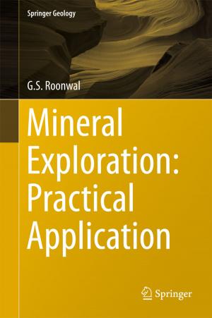 Cover of the book Mineral Exploration: Practical Application by Jiangshan Fang