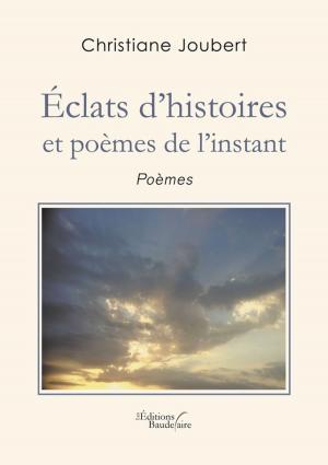 Cover of the book Éclats d'histoires et poèmes de l'instant by Philippe DARNAULT