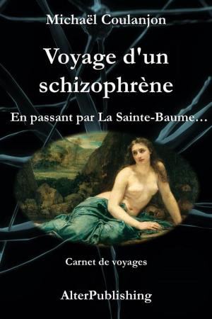 Cover of Voyage d'un schizophrène - En passant par La Sainte Baume