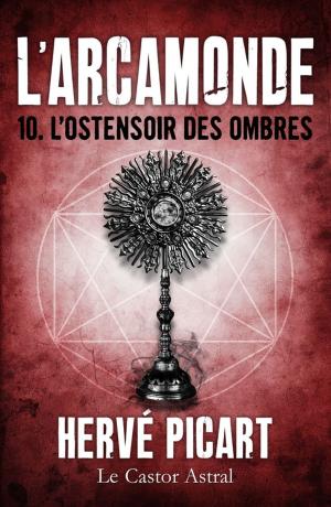Cover of the book L'Ostensoir des ombres by Véronique Biefnot, Francis Dannemark