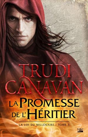Cover of the book La Promesse de l'héritier by P.T. Phronk