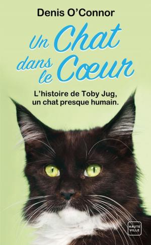 Cover of the book Un chat dans le coeur by Robyn Dehart