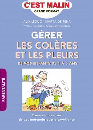 Cover of the book Gérer les colères et les pleurs de vos enfants de 1 à 5 ans, c'est malin by Carole Serrat