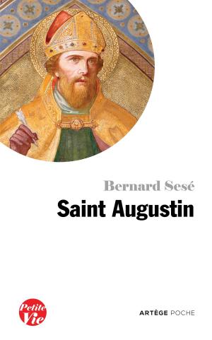 Cover of the book Petite vie de saint Augustin by Jason Evert, Père Daniel-Ange