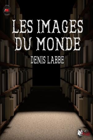 Cover of the book Les images du monde by Jennifer Melzer