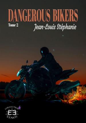 Cover of the book Dangerous Bikers by Nicolas Gramain