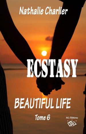 Book cover of Ecstasy 6