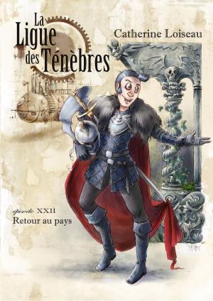 Book cover of Retour au pays
