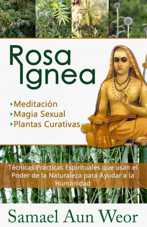 Cover of the book ROSA IGNEA by Samael Aun Weor, Publicaciones LDS