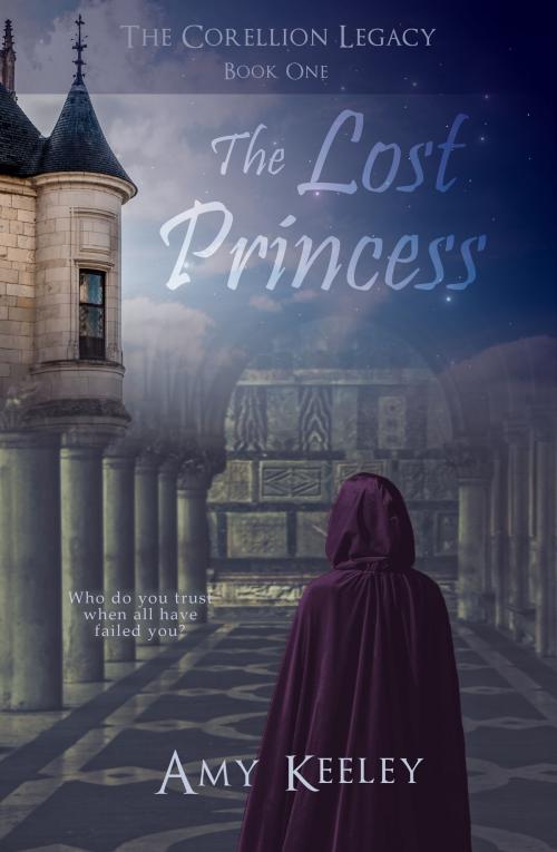 Cover of the book The Lost Princess by Amy Keeley, Amy Keeley