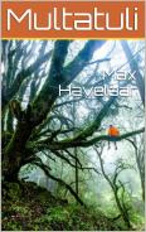 Cover of the book Max Havelaar by Multatuli, bruno mazajczyk