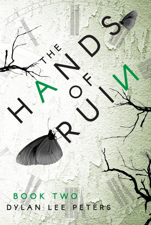 Cover of the book The Hands of Ruin: Book Two by Dylan Lee Peters, Dylan Lee Peters