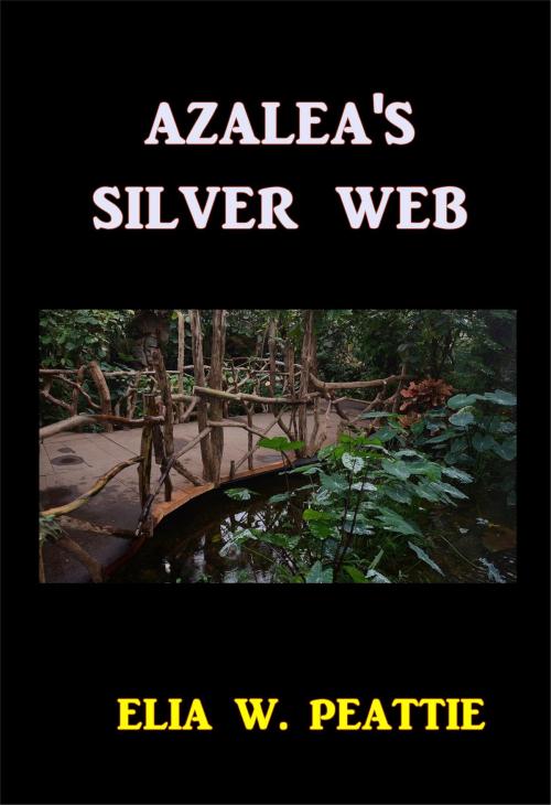 Cover of the book Azalea's Silver Web by Elia W. Peattie, Green Bird Press