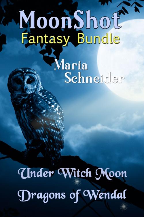 Cover of the book MoonShot Fantasy Bundle by Maria Schneider, BearMountainBooks