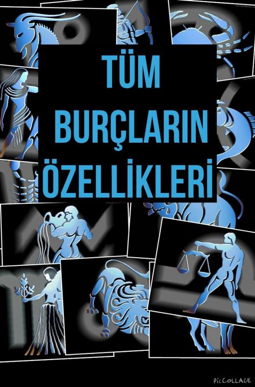 Cover of the book Tüm Burçların Özellikleri by Behçet KAYA, MK YAYINLARI
