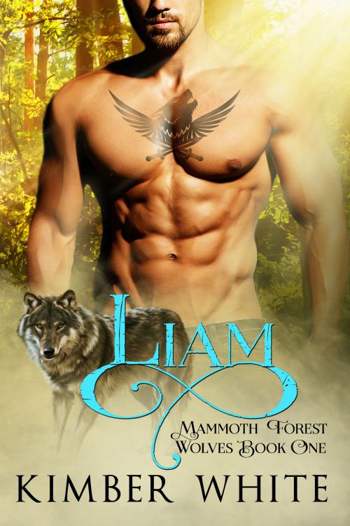 Cover of the book Liam by Kimber White, Nokay Press LLC