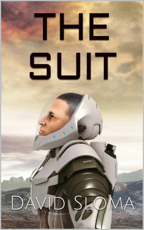 Cover of the book THE SUIT by David Sloma, Web of Life Solutions