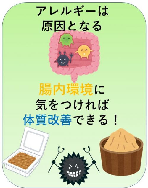 Cover of the book アレルギーは原因となる腸内環境に気をつければ体質改善できる！ by 澤楽, 自費出版